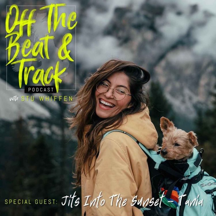 cover art for Special Guest - Jits Into The Sunset - Tania