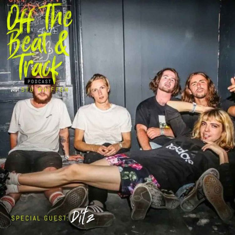 cover art for Special Guest - Ditz