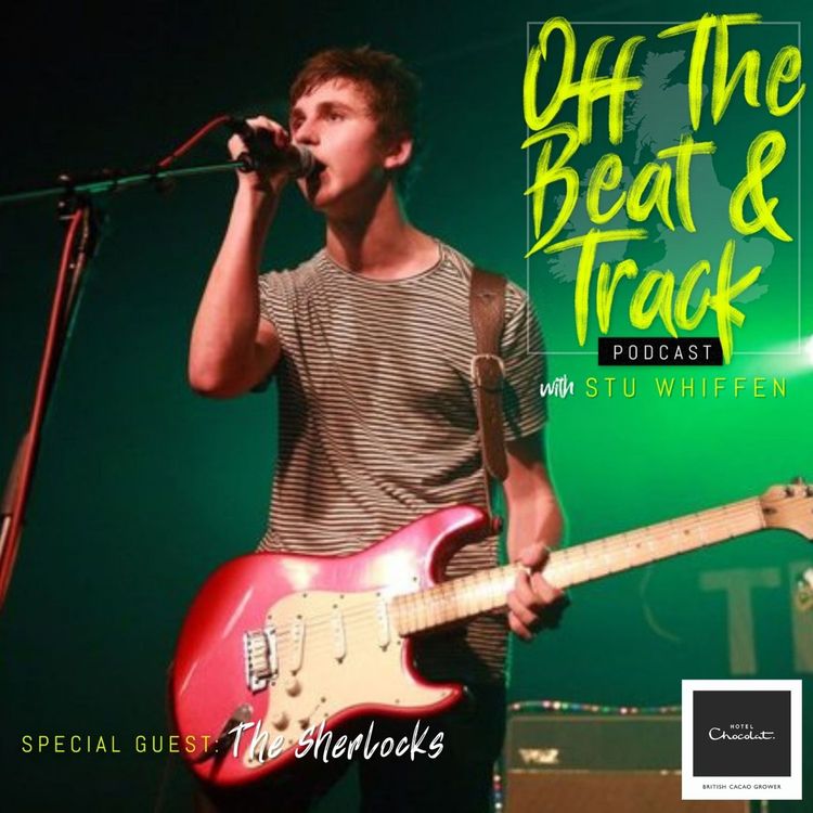 cover art for Special Guest - The Sherlocks