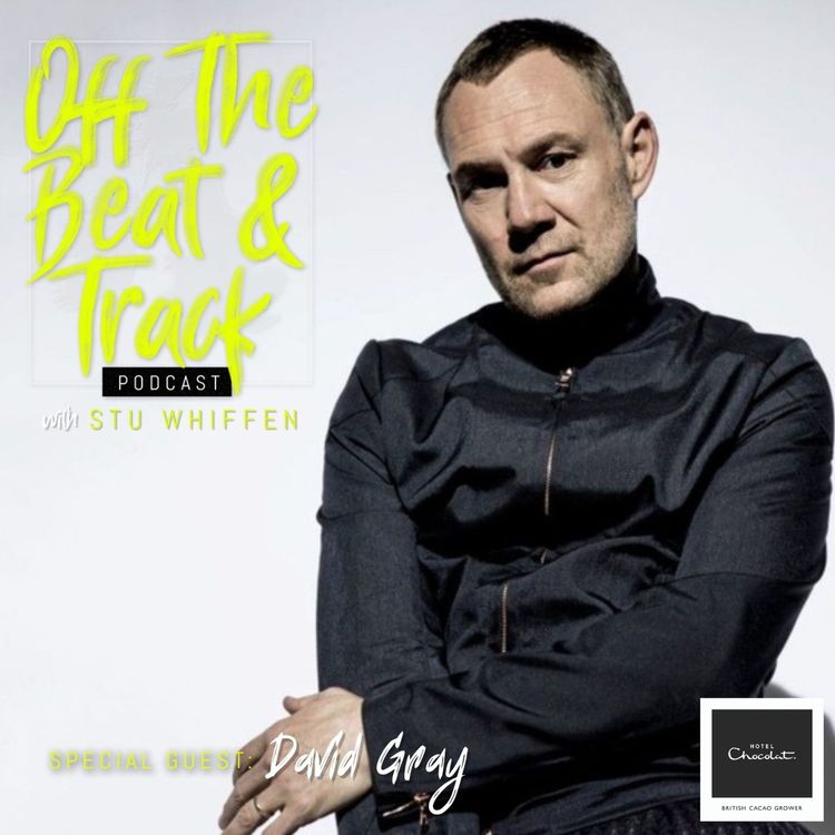 cover art for Special Guest - David Gray