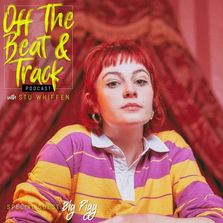 cover art for Special Guest - Biig Piig