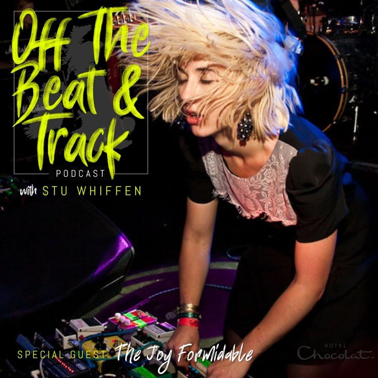 cover art for Special Guest - The Joy Formidable
