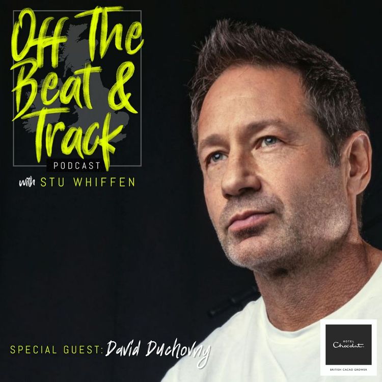 cover art for Special Guest - David Duchovny