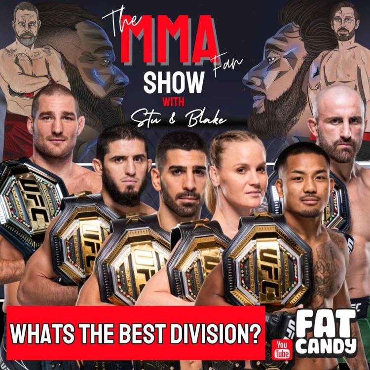 cover art for What is the best division in the UFC