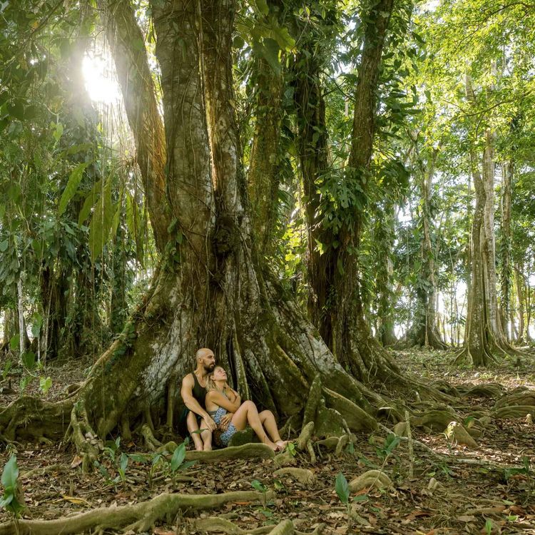 cover art for Episode 116: Davor Rostuhar, Love Around the World