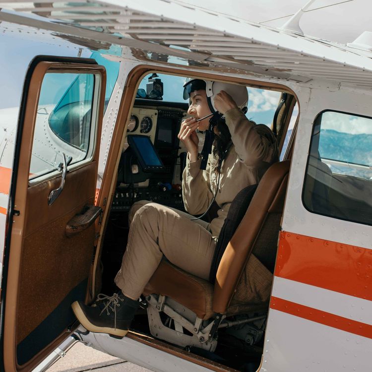 cover art for Episode 178: Denise Joi, Fight or Flight