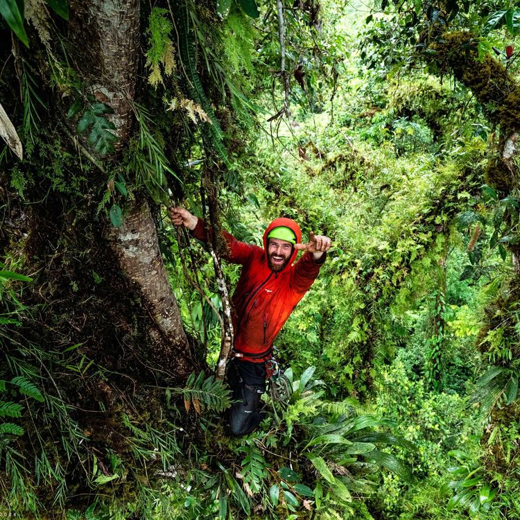 cover art for Dispatch: Waldo Etherington, Trees