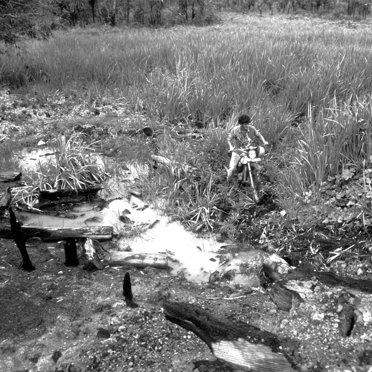 cover art for Episode 010: Losing Sight Of The Shore, George Monbiot