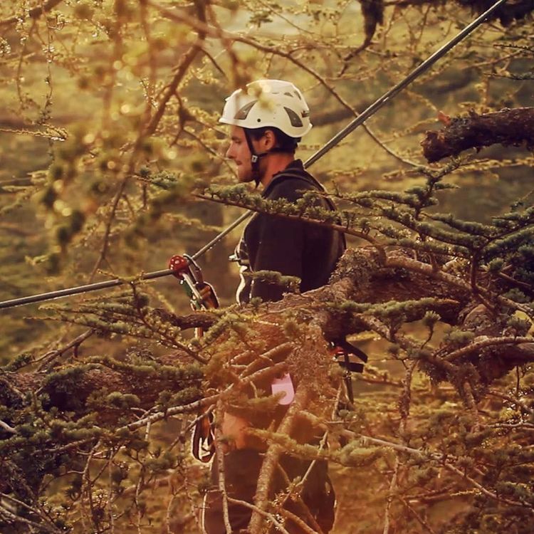 cover art for Episode 004: Exploring The Canopy, Waldo Etherington