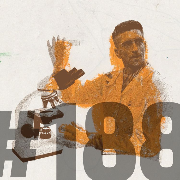 cover art for #188: Beetroot Features