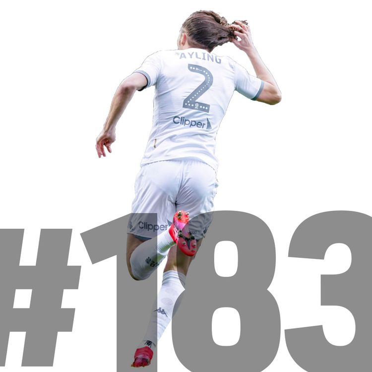 cover art for #183: Finger Shaming