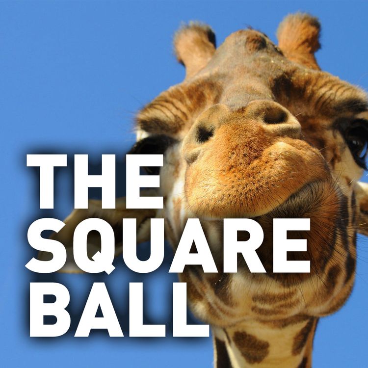 cover art for #81 (Part 1 of 2): Floundering Giraffe (5th Sep 2014)