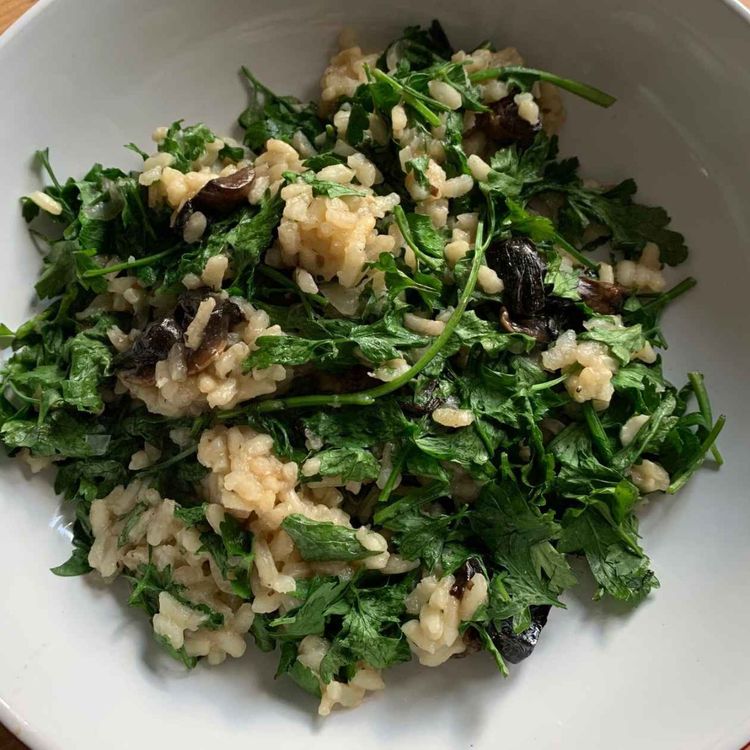 cover art for Hoovering - Episode 193: Seema Pankhania