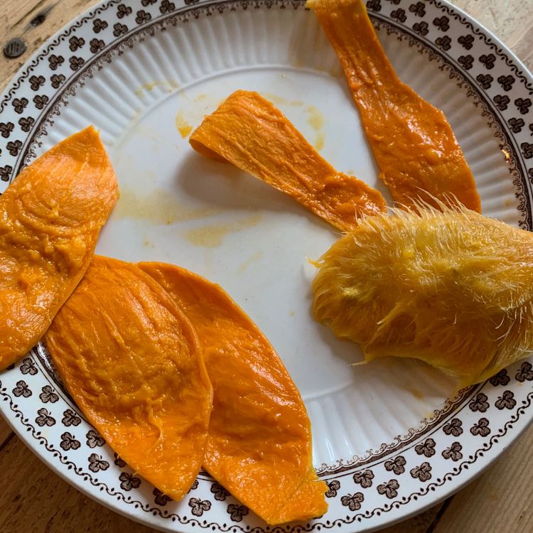 cover art for Hoovering - Episode 172: Sindhu Vee