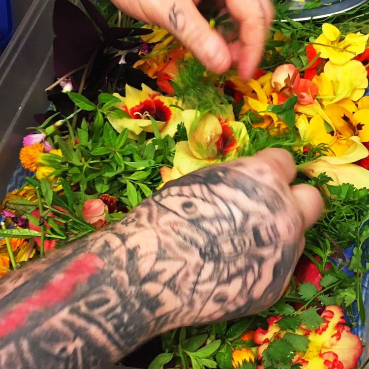 cover art for Hoovering - Episode 33: Dave Coulson