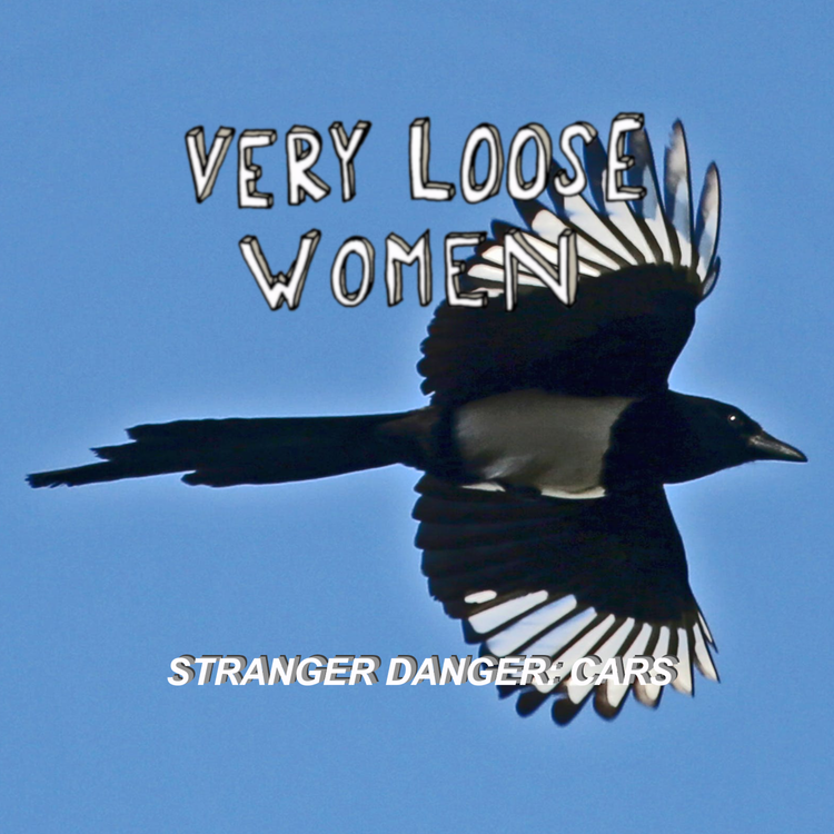 cover art for Stranger Danger: Cars