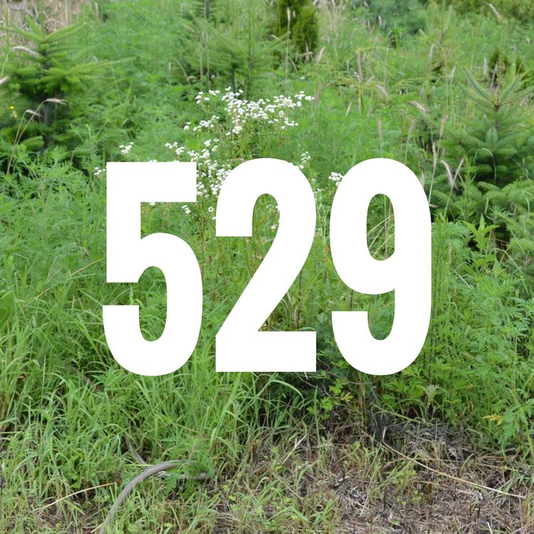 cover art for Episode 529 - Praying for the garden