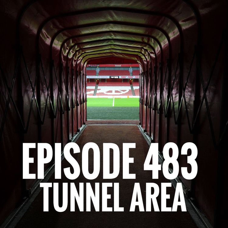 cover art for Episode 483 - Tunnel Area