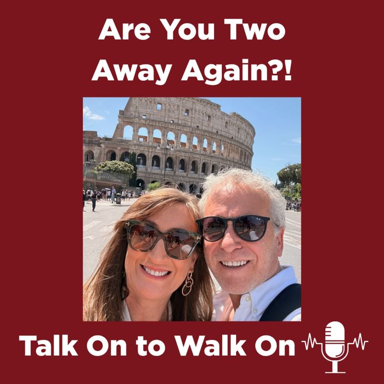 cover art for #47 Are You Two Away Again?