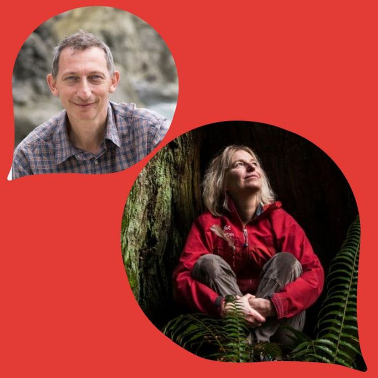 cover art for Suzanne Simard and Jonathan Drori - Finding the Mother Tree