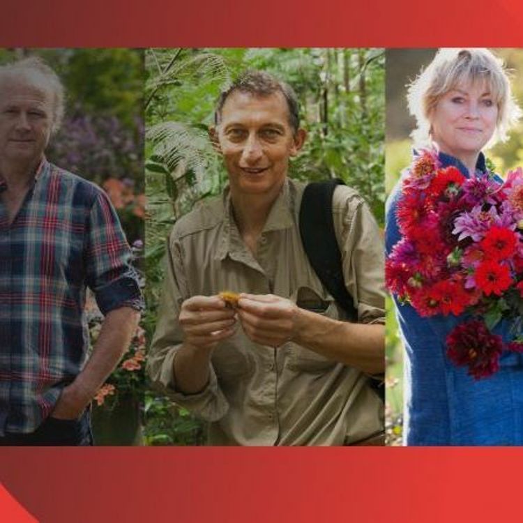 cover art for Jonathan Drori, Sarah Raven and Tim Smit on the stories of plants