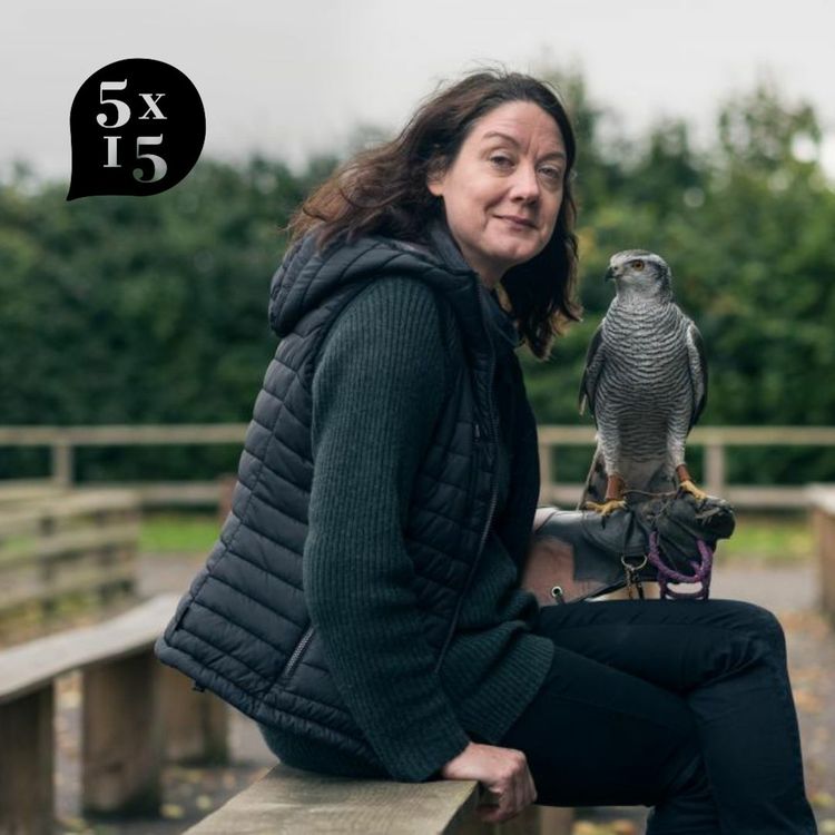 cover art for Helen Macdonald - Vesper Flights