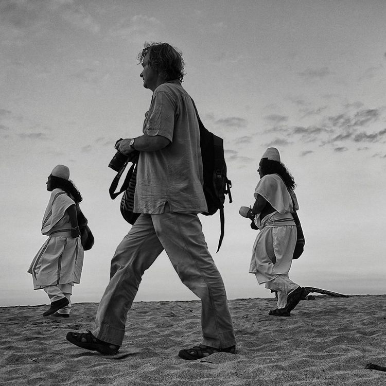 cover art for Cultures at Risk - Wade Davis