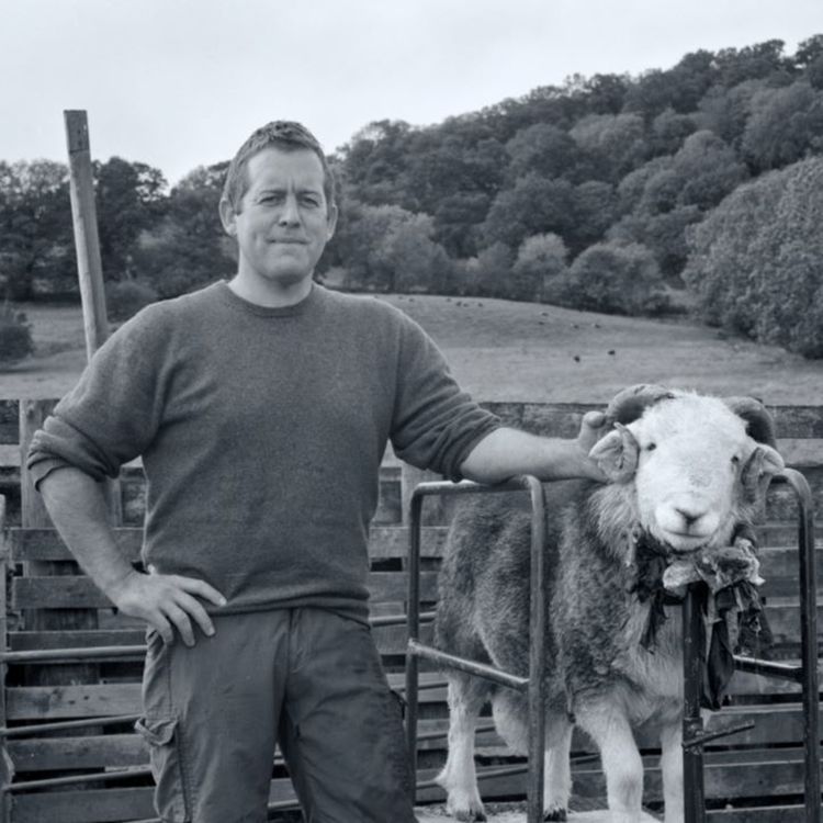 cover art for The Shepherd's Life  - James Rebanks and Rory Cellan-Jones