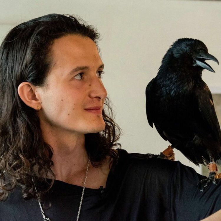 cover art for Charlie Gilmour tells his extraordinary story for the first time