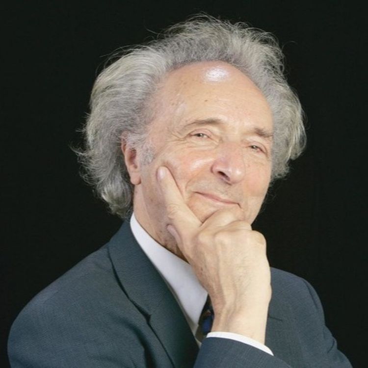 cover art for The importance of human connection - Theodore Zeldin