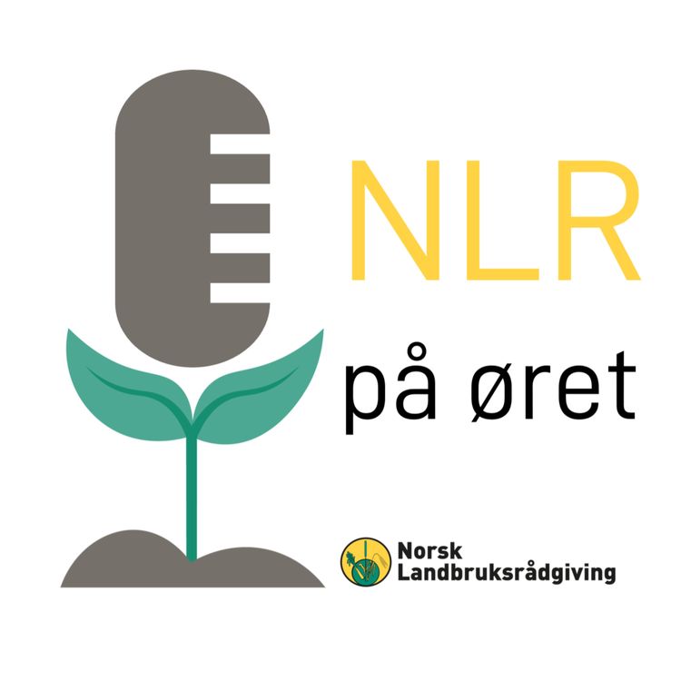 cover art for Bli en bedre kornbonde