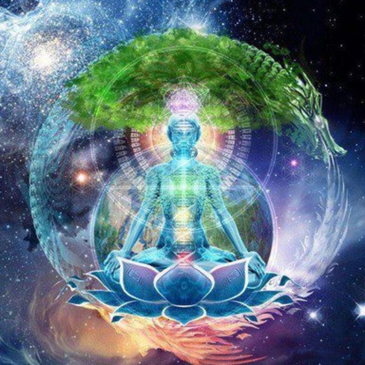 cover art for YOGA LA GRAN RE-ÚNION FINAL