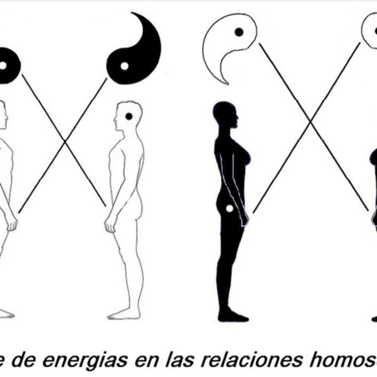 cover art for ” LAS RELACIONES HOMOSEXUALES TAMBIÉN SON HETEROSEXUALES “