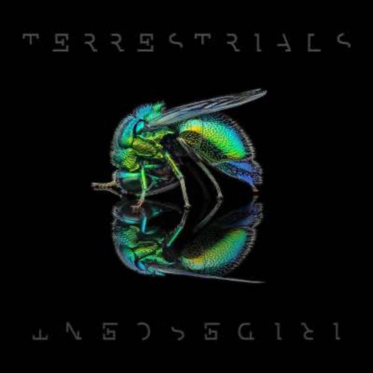 cover art for Ep 232 Scott Alexander from Aus band Terrestrials talks to HMT about the album and their muiscal journey