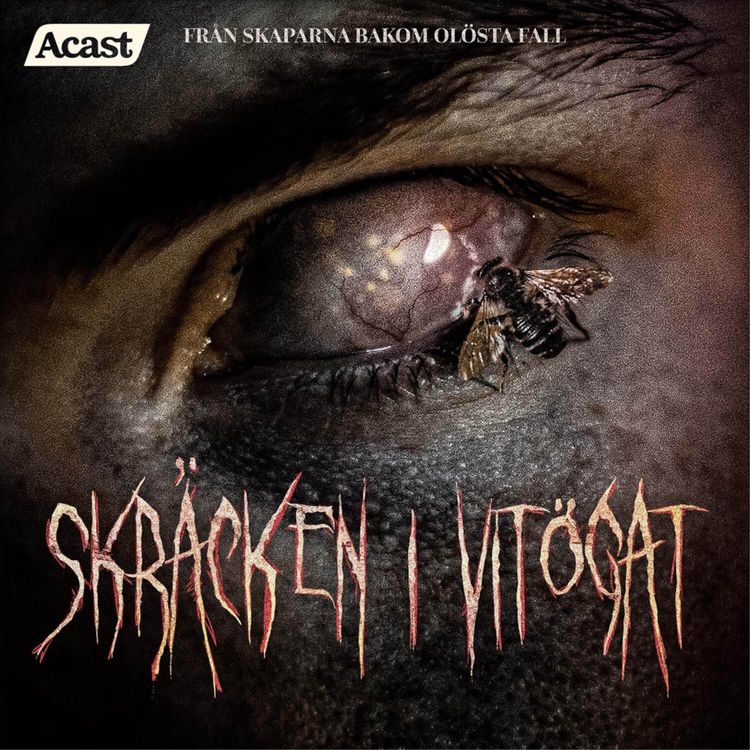 cover art for 8. När skenet bedrar