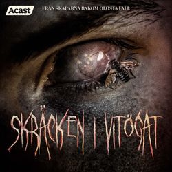 cover art for Skräcken i vitögat