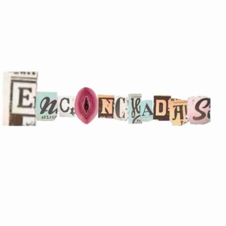 cover art for INTRODUCCIÓN