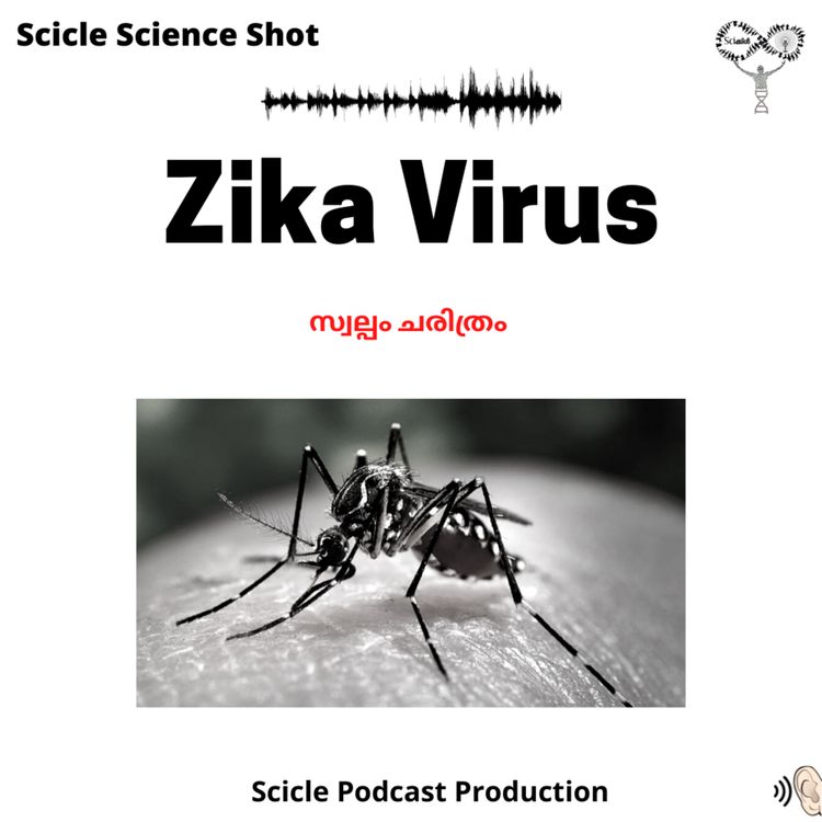 cover art for Zika Virus History (Malayalam)|| Scicle Science Shots