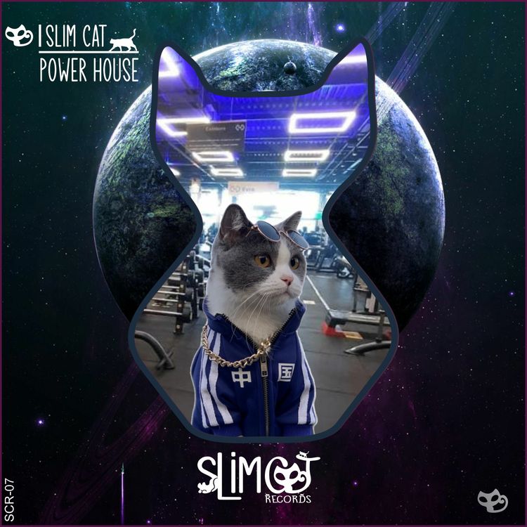 cover art for Slim Cat - Power House ( Original Mix )