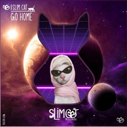 cover art for Slim Cat