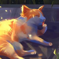 cover art for wszystko lol