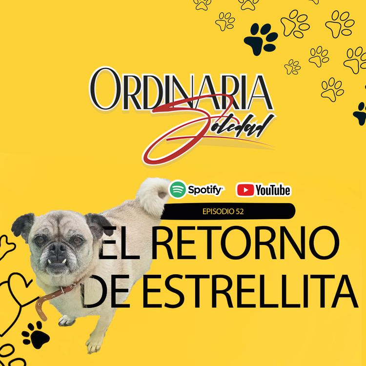 cover art for Episodio 52-El retorno de estrellita. ⭐🐾