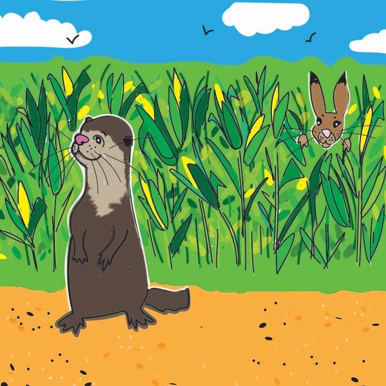 cover art for How Rabbit stole Otter's Coat!