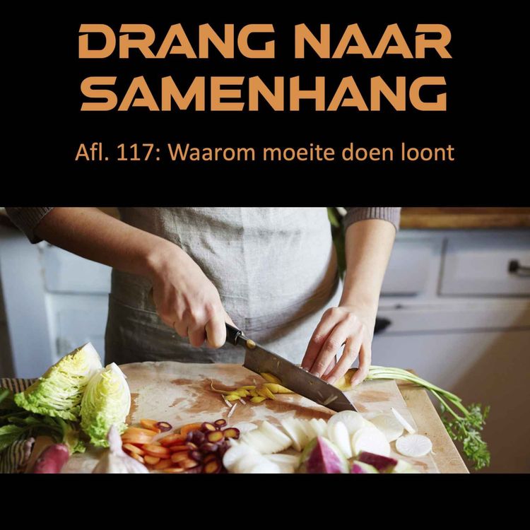 cover art for #117 Waarom moeite doen loont