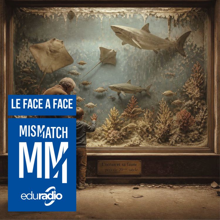 cover art for Océan sous pression, sciences de l’océan en tension ? LE FACE À FACE