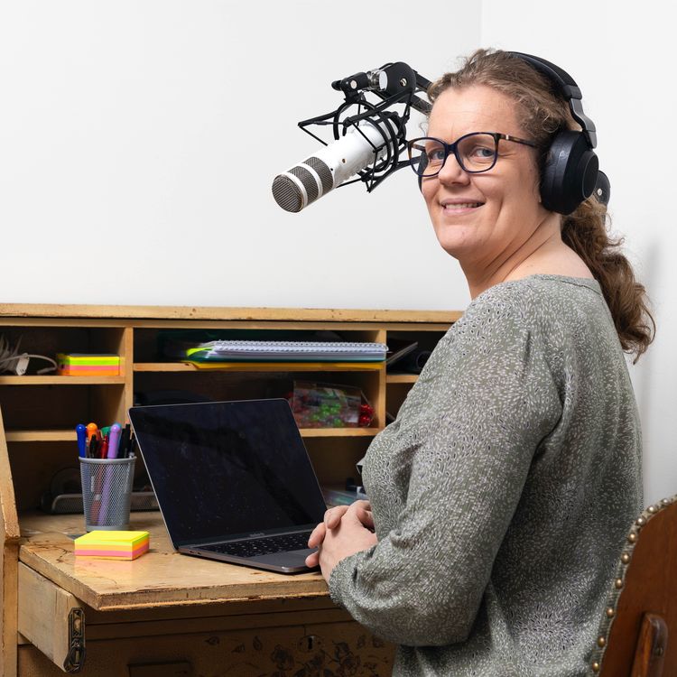 cover art for 31: Synsvinkel