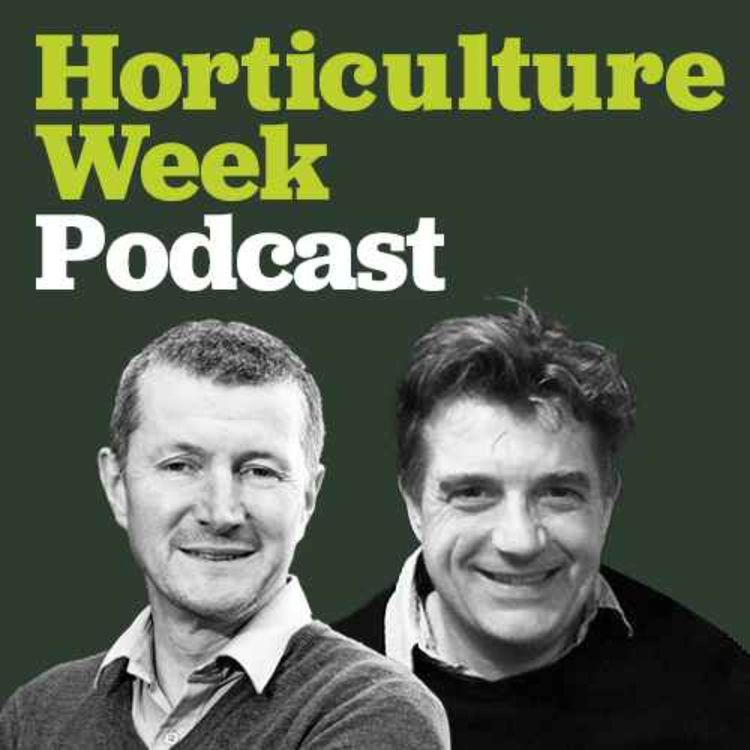 cover art for Natural pest control with Julian Ives of Dragonfli