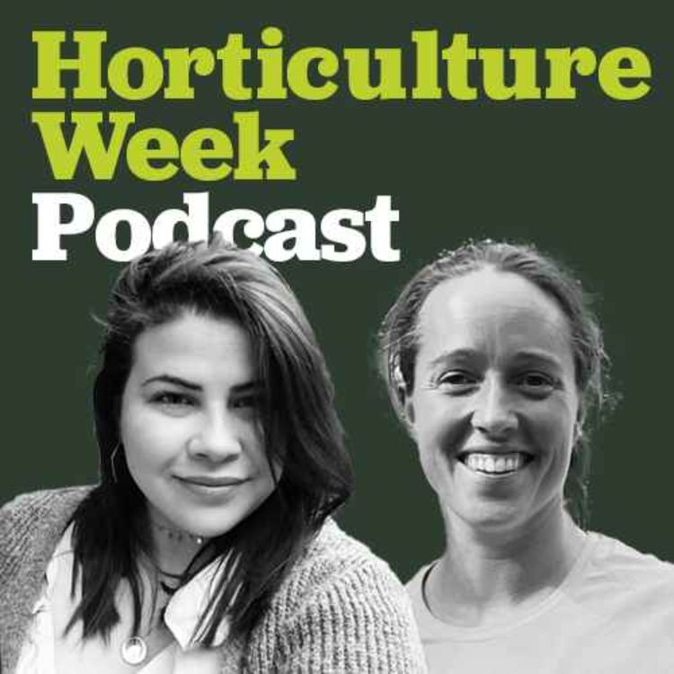 cover art for High climber Jo Hedger of Arbor Venture on her world-beating career in arboriculture