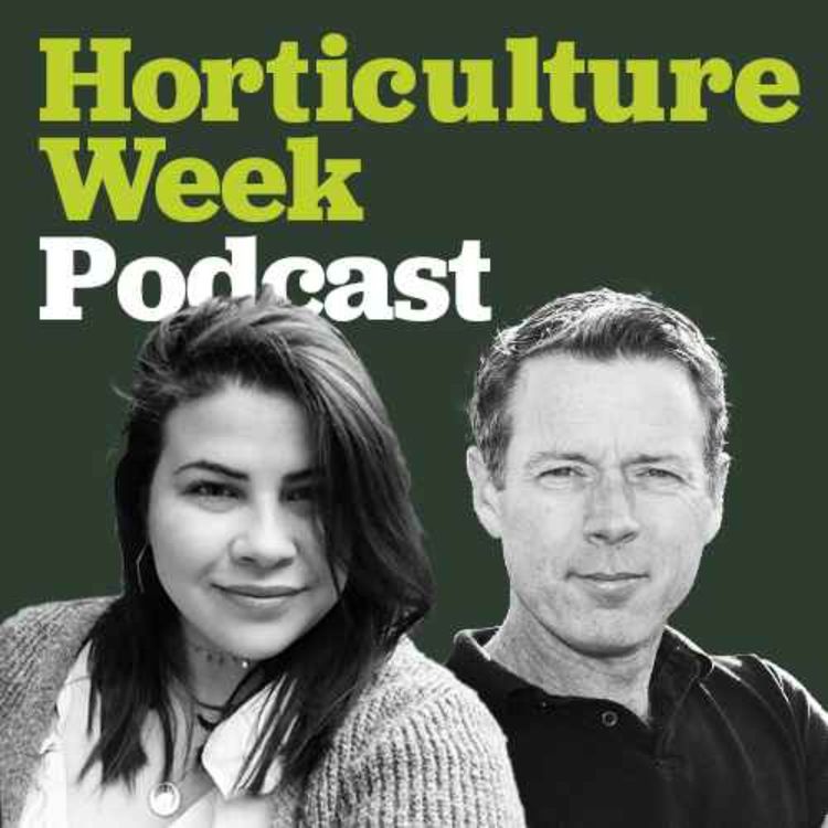 cover art for Gardens made of daydream, turned into an equation and back into a daydream - with Peter Donegan