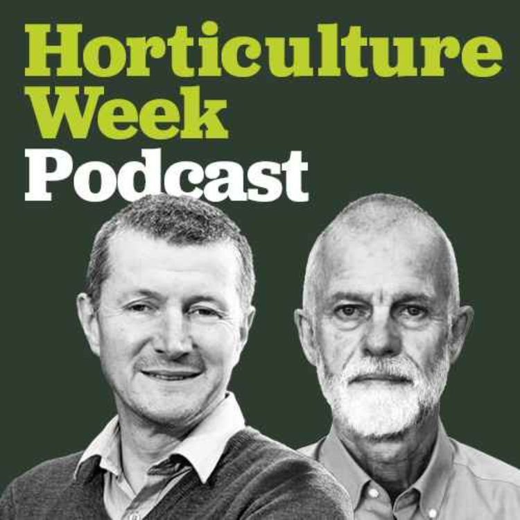 cover art for Martyn Flint of Chrysanthemums Direct